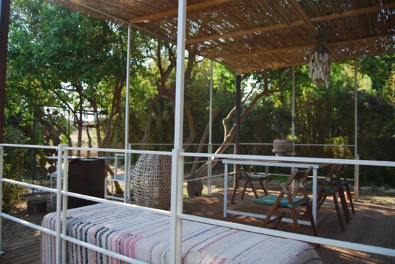 Criatura - Officina Didattica Scicli Tatil Evi